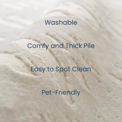 Washable Area Rug